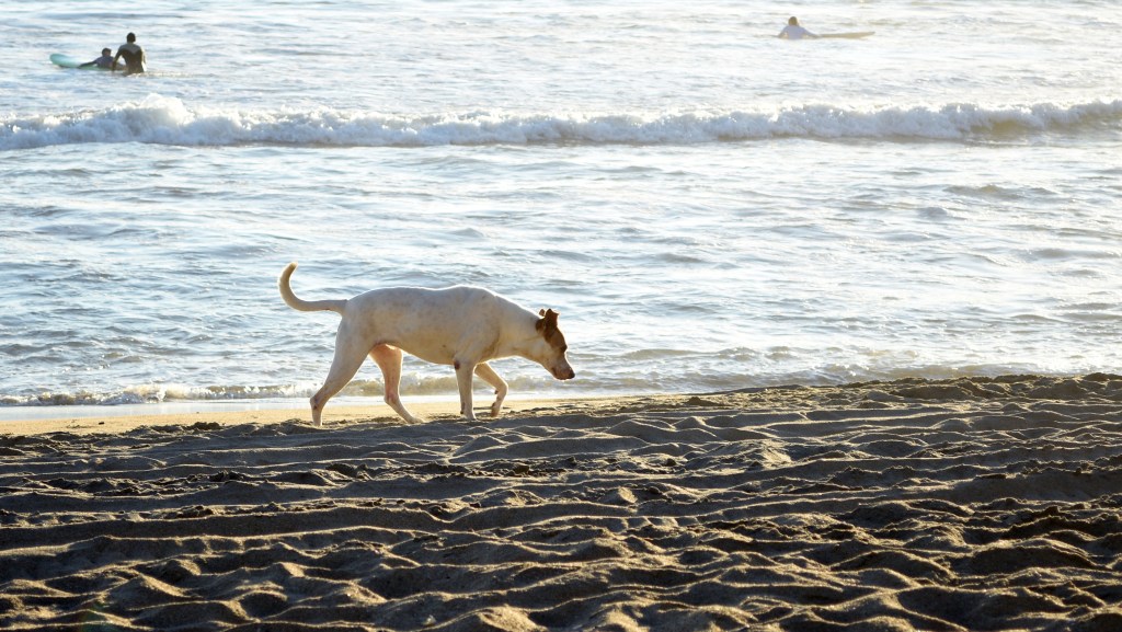 Las trampas de la memoria (a propósito de Los hechos de Key&nbsp;Biscayne)